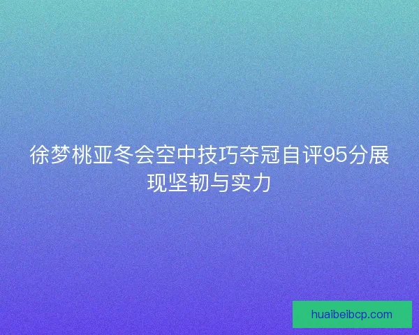 徐梦桃亚冬会空中技巧夺冠自评95分展现坚韧与实力