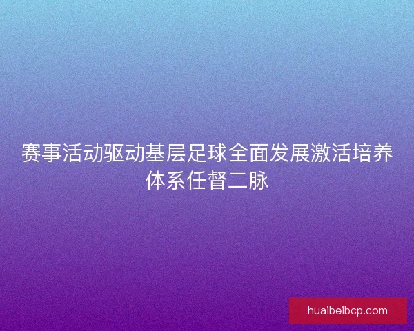 赛事活动驱动基层足球全面发展激活培养体系任督二脉